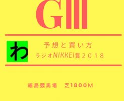 ラジオNIKKEI賞２０１８予想キャッチ