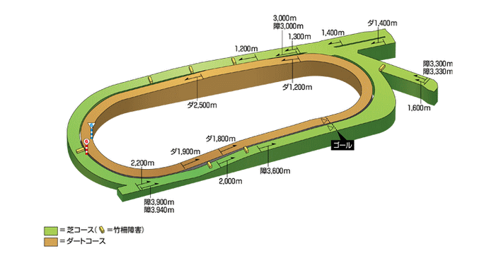 中京競馬場コース図