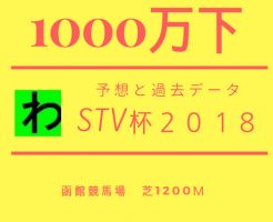STV2018キャッチ