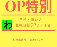 札幌日経OP２０１８キャッチ