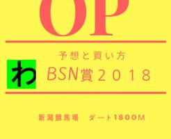 BSN賞２０１８キャッチ