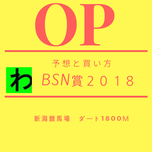 BSN賞２０１８キャッチ