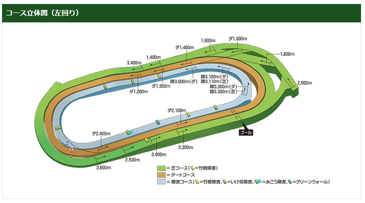 東京競馬場コース図