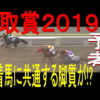 雲取賞2019予想（大井競馬）｜夢のダービー制覇に向けて視界良好な馬は
