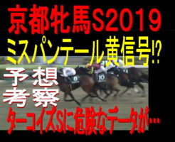 京都牝馬S２０１９キャッチ