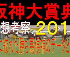阪神大賞典２０１９キャッチ