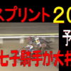 東京スプリント（大井競馬）２０１９予想｜ 藤田菜七子騎手がコパノキッキングで参戦！