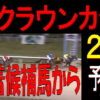 クラウンカップ（川崎競馬）２０１９予想｜ 唯一残った勝ち馬候補馬からの馬券