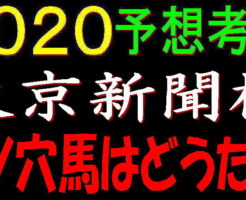 東京新聞杯2020キャッチ