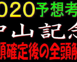 中山記念2020キャッチ2