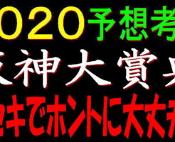 阪神大賞典2020キャッチ