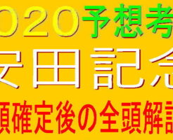 安田記念2020キャッチ2