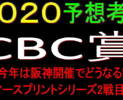 CBC賞2020キャッチ