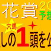 菊花賞2020競馬予想｜過去10年【1.5.6.35】の穴馬はどうだ!?