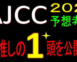 AJCC2020キャッチ